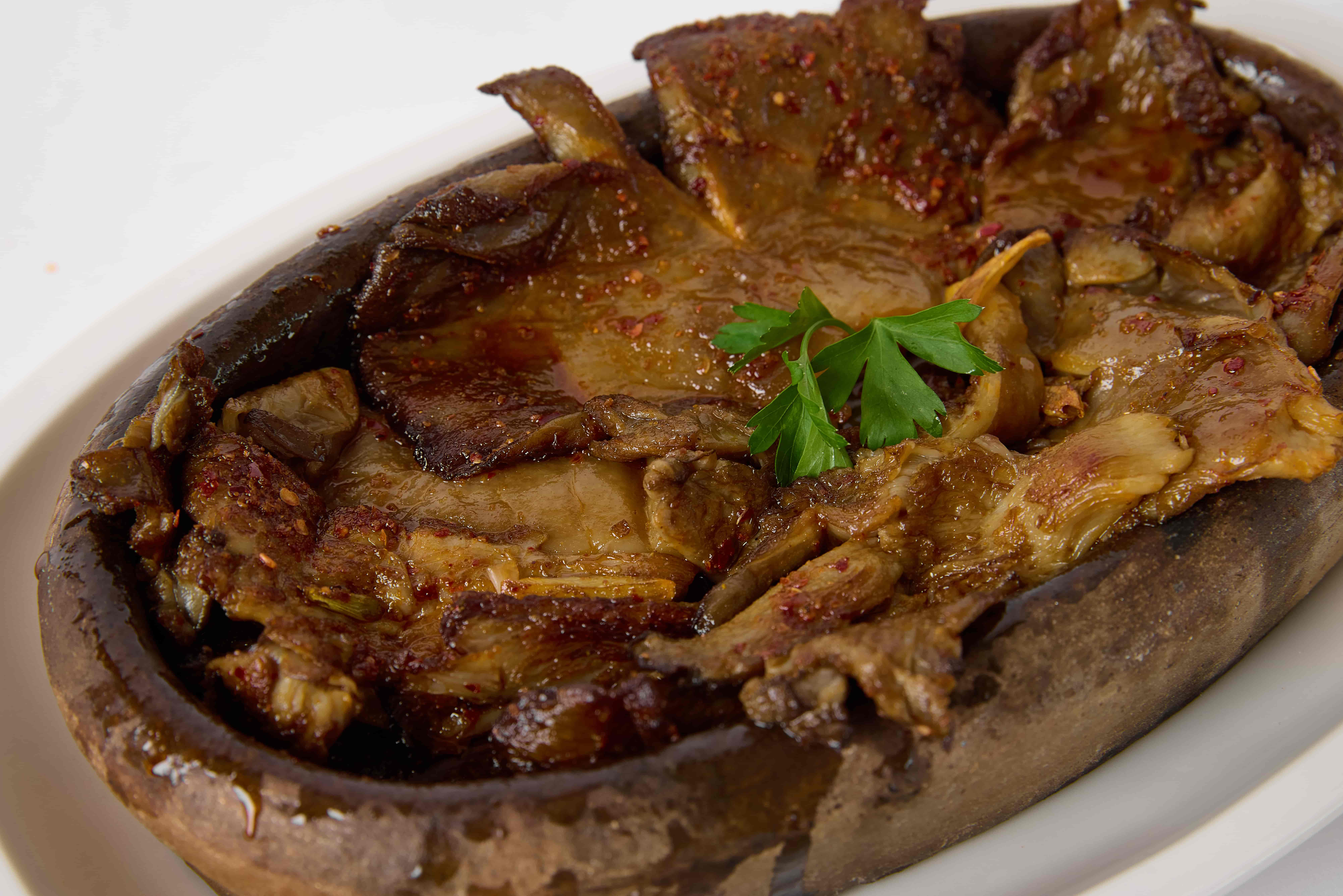 İstiridye Mantarı
